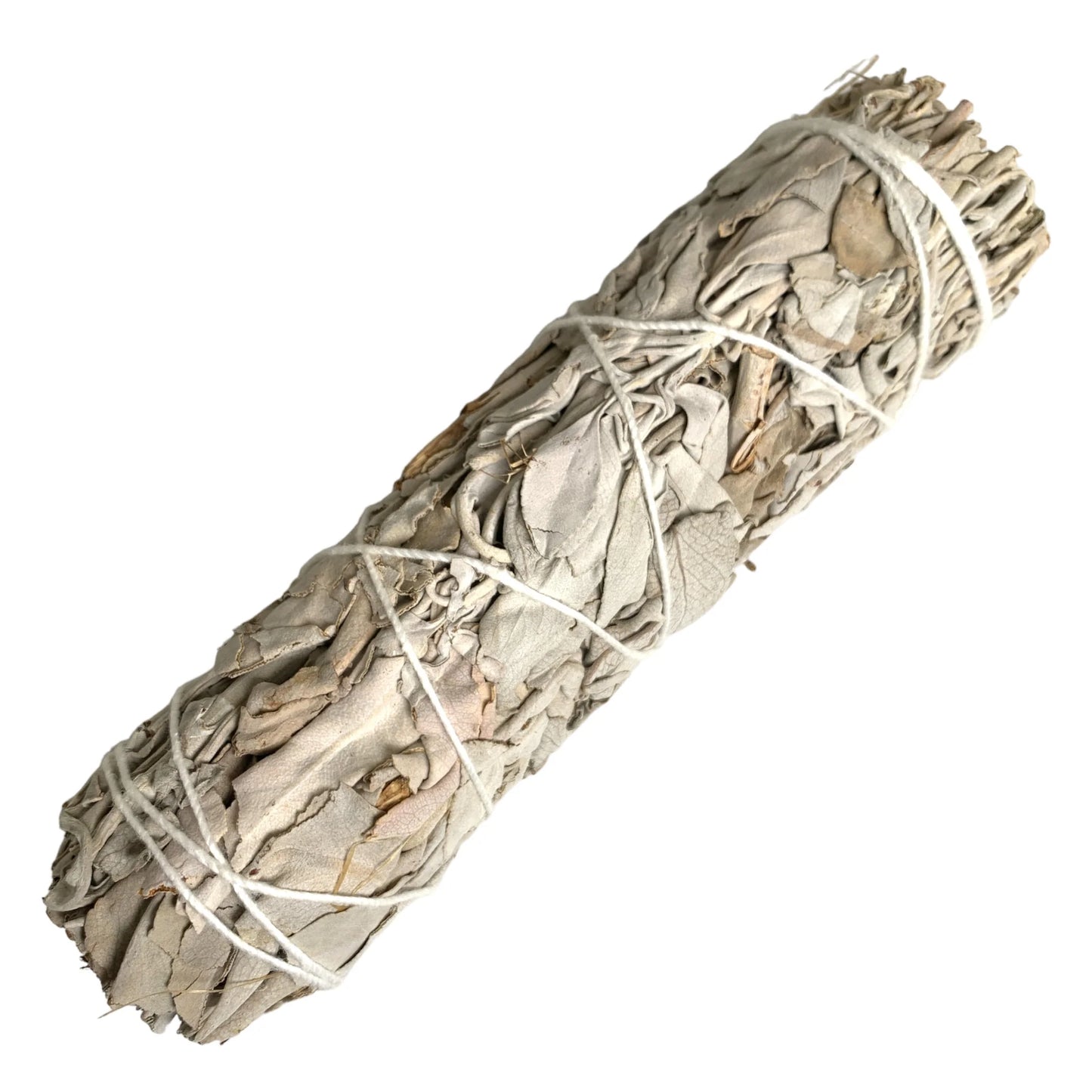 Salvia Blanca (White Sage)