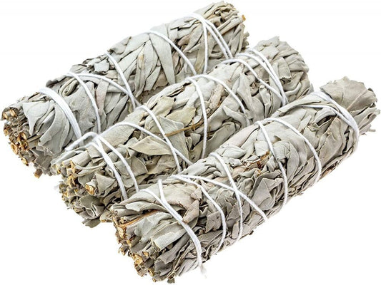 Salvia Blanca (White Sage)